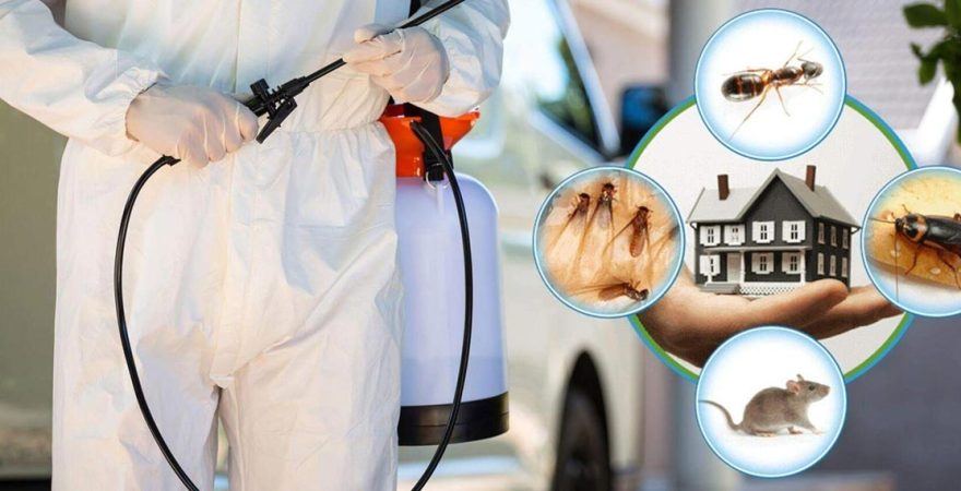 Ürkmez Böcek İlaçlama