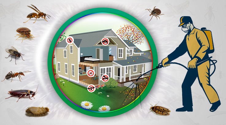 Ürkmez Böcek İlaçlama