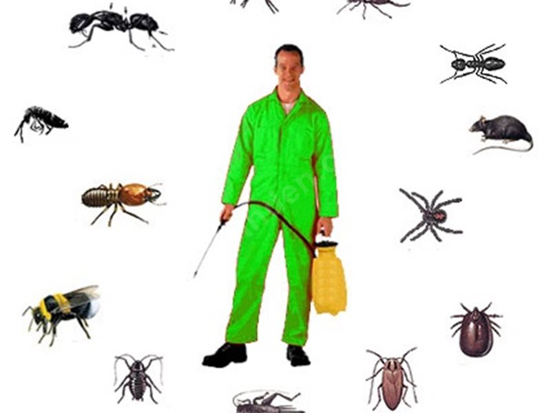 Ürkmez Böcek İlaçlama